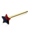 Dual Tone Star Straight Nose Stud NSKA-806 